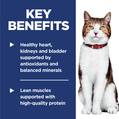 Hill's Science Diet Adult 7+ Dry Cat Food - Chicken - 4lb Bag