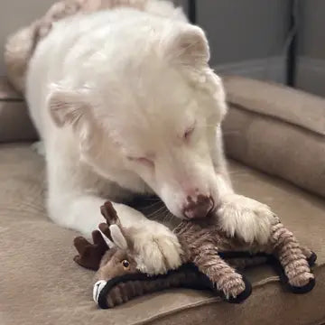 Lightning Dog Rowdy Herder Reindeer Dog Toy