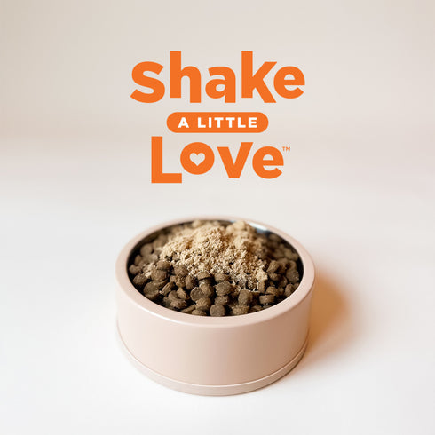 Instinct Raw Boost Shakers Food Mixer For Dogs - Chicken - 5.5oz Shake Bottle