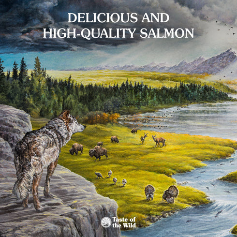 Taste of the Wild Ancient Stream Dry Dog Food - Smoke Flavored Salmon - 28lb Bag