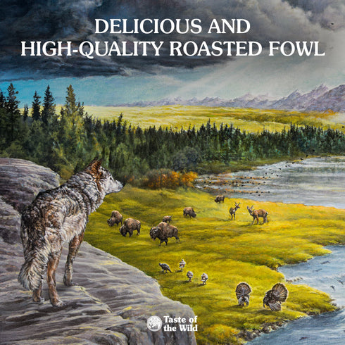 Taste of the Wild Ancient Wetlands Dry Dog Food - Roasted Fowl - 14lb Bag