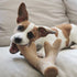 Tall Tails Antler Chew Dog Toy - Peanut Butter - Large