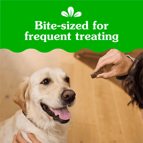 Greenies Anytime Bites Dog Treats - Original Flavor - 10.3oz/65 Chewy Treats