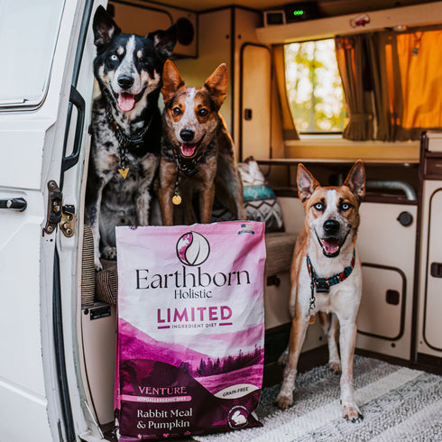 Earthborn Holistic Venture Limited Ingredient Dry Dog Food - Rabbit & Pumpkin - 25lb Bag