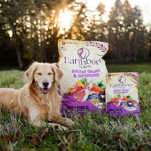 Earthborn Holistic Ancient Grains Dry Dog Food - Unrefined Roasted Lamb - 4lb Bag