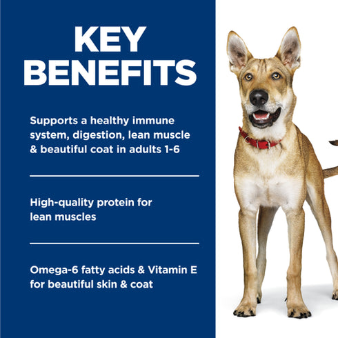 Hill's Science Diet Adult 1-6 Wet Dog Food - Chicken & Barley - 13oz Can