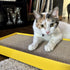 Turbo Scratcher Rectangle Cat Scratching Post - Yellow