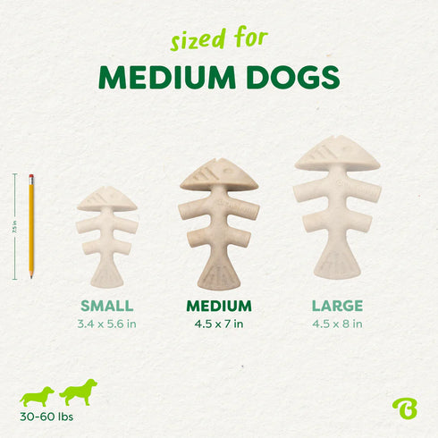 Benebone Green Eco Dog Chew Toy - Medium - Fishbone