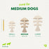 Benebone Green Eco Dog Chew Toy - Medium - Fishbone