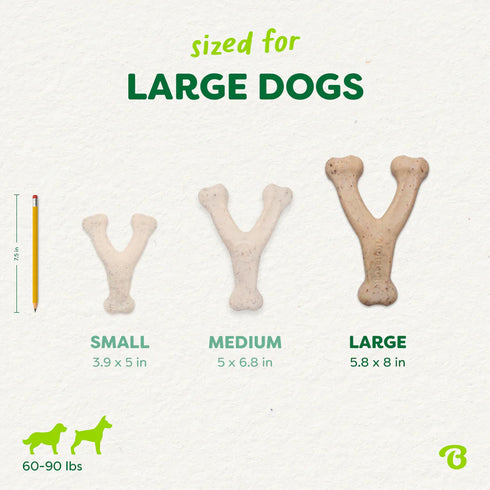 Benebone Green Eco Dog Chew Toy - Large - Wishbone