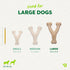 Benebone Green Eco Dog Chew Toy - Large - Wishbone