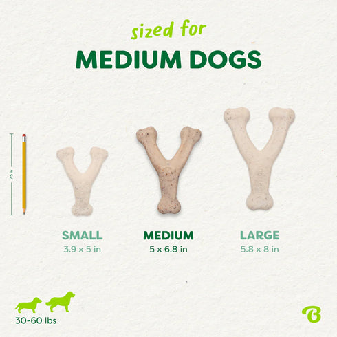 Benebone Green Eco Dog Chew Toy - Medium - Wishbone
