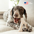 Benebone Green Eco Dog Chew Toy - Medium - Wishbone