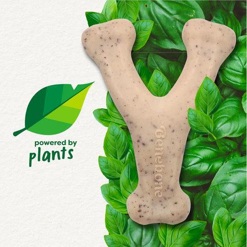 Benebone Green Eco Dog Chew Toy - Medium - Wishbone