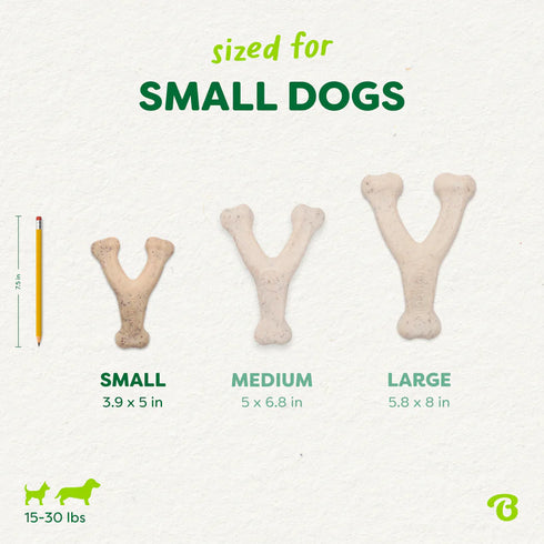 Benebone Green Eco Dog Chew Toy - Small - Wishbone