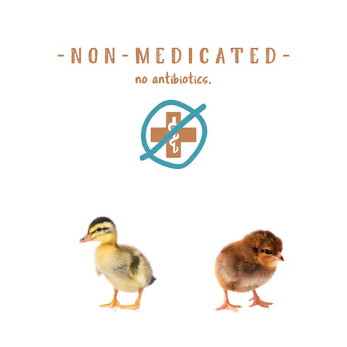 Manna Pro Non Medicated Chick Starter - 5lb Bag