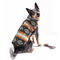 Chilly Dog Blanket Dog Coat - Small - Black Canyon