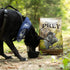 Taste of the Wild Prey Limited Ingredient Dry Dog Food - Turkey - 25lb Bag