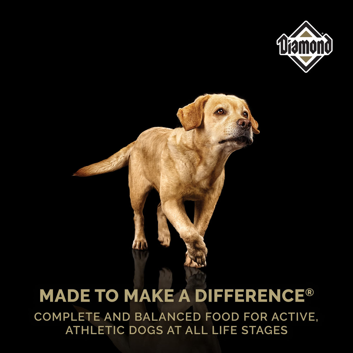 Diamond Premium Adult Dog Food