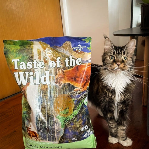 Taste of the Wild Rocky Mountain Dry Cat Food - Roasted Venison - 14lb Bag