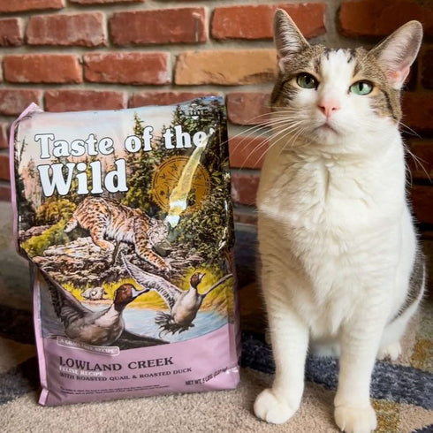 Taste of the Wild Lowland Creek Dry Cat Food - Roasted Quail & Duck - 14lb Bag