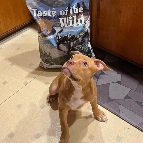 Taste of the Wild Pacific Stream Puppy Dry Dog Food - Smoke Flavored Salmon - 14lb Bag