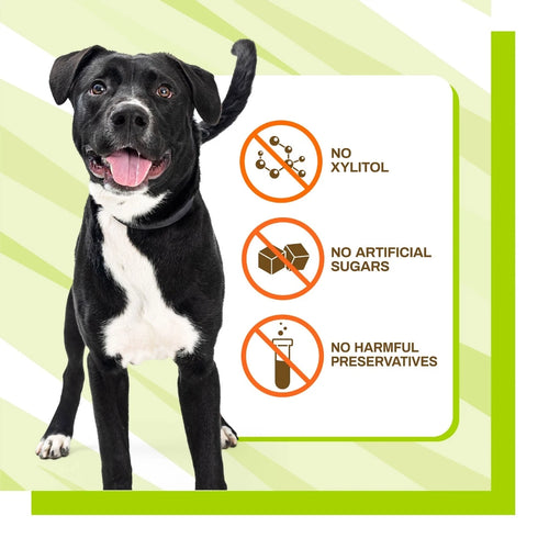 Pet Naturals BusyButter Balanced Belly Medium/Large Dog Chews - 13oz Pouch