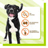 Pet Naturals BusyButter Balanced Belly Medium/Large Dog Chews - 13oz Pouch
