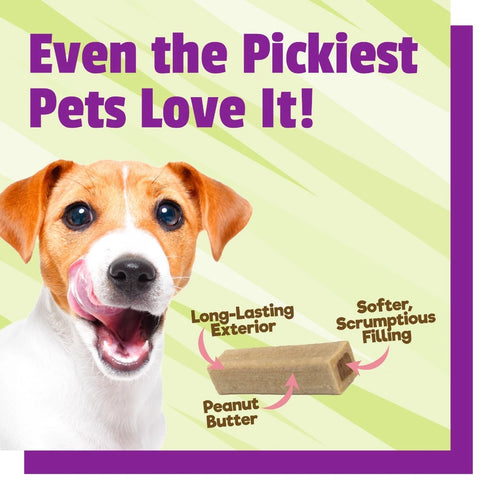Pet Naturals BusyButter Balanced Belly Medium/Large Dog Chews - 13oz Pouch