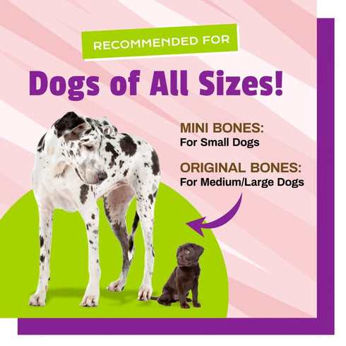 Pet Naturals BusyButter Balanced Belly Medium/Large Dog Chews - 13oz Pouch