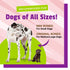 Pet Naturals BusyButter Balanced Belly Medium/Large Dog Chews - 13oz Pouch