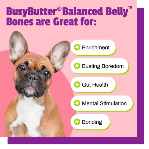 Pet Naturals BusyButter Balanced Belly Medium/Large Dog Chews - 13oz Pouch