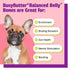 Pet Naturals BusyButter Balanced Belly Medium/Large Dog Chews - 13oz Pouch