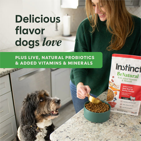 Instinct Be Natural Dry Dog Food - Real Lamb & Oatmeal - 24lb Bag
