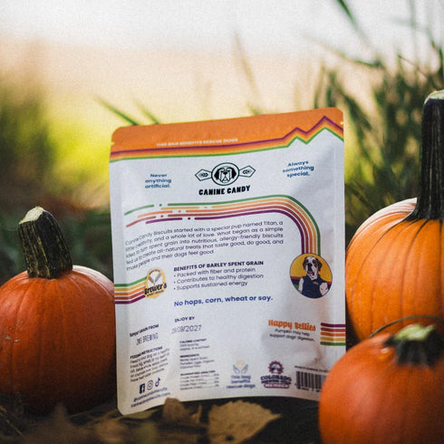 Canine Candy Buzzcuts Dog Treats - Pumpkin Delights - 4.5oz Pouch