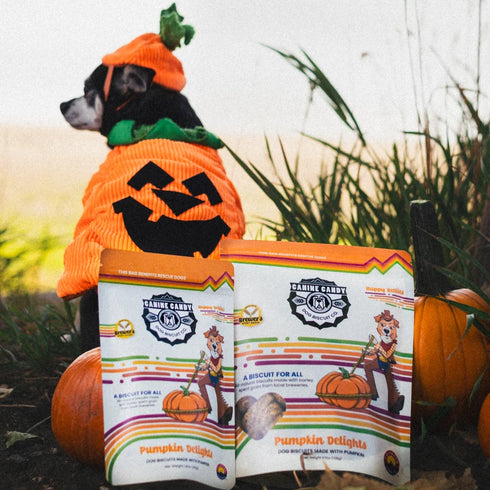 Canine Candy Buzzcuts Dog Treats - Pumpkin Delights - 4.5oz Pouch