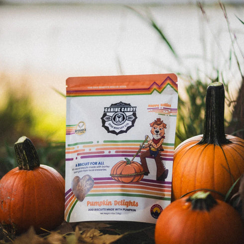 Canine Candy Buzzcuts Dog Treats - Pumpkin Delights - 4.5oz Pouch