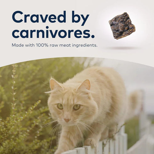 Ziwi Peak Air-Dried Cat Food - Lamb - 14oz Bag