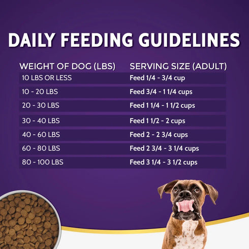 Zignature Original Dry Dog Food - Catfish - 4lbs Bag