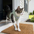 BayCat Adventure Cat Harness - Small - Green
