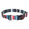 Coastal Sublime Adjustable Dog Collar - Large 1 1/2" x 18-26" - Native Stripe