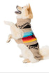 Chilly Dog Knitted Dog Sweater - X-Large - Painted Desert