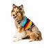 Chilly Dog Knitted Dog Sweater - X-Large - Painted Desert