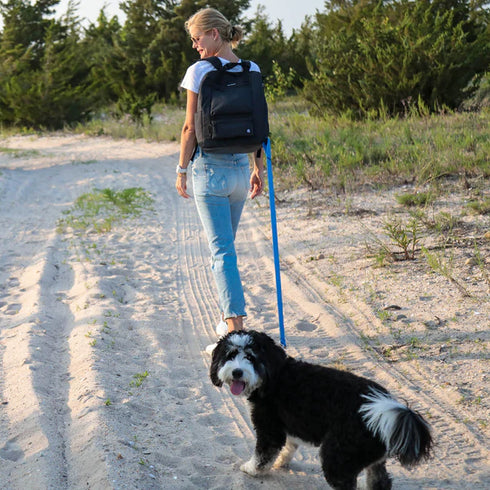 Cleverpup Porter Dog Gear Backpack - Graphite