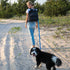Cleverpup Porter Dog Gear Backpack - Graphite