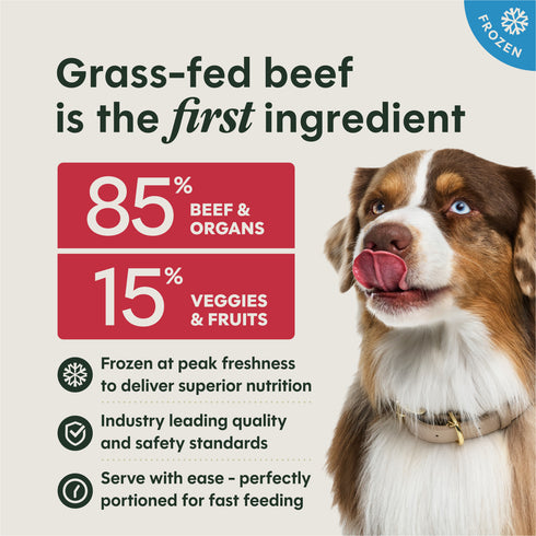 Instinct FreshRaw Medallions Frozen Raw Dog Food- Real Beef - 3lb