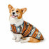 Chilly Dog Blanket Dog Coat - Medium - Southwest Denim Sunset