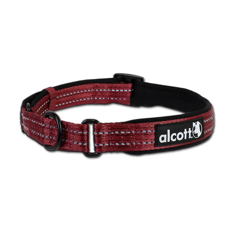 Alcott Martingale Dog Collar - Medium - Red
