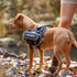 EZYDOG Convert Saddle Bags For The Convert Dog Harness - Large
