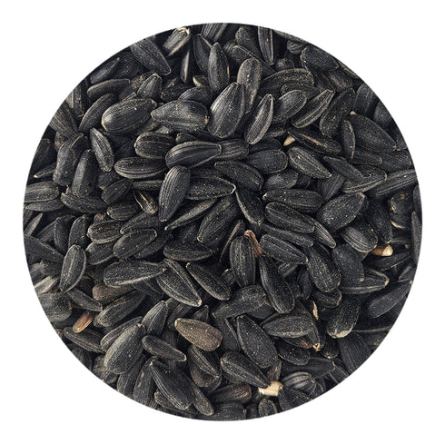 Kaylor of Colorado Country Blend Bird Food - Sunflower with Black Sunflower Oil - 20lb Bag